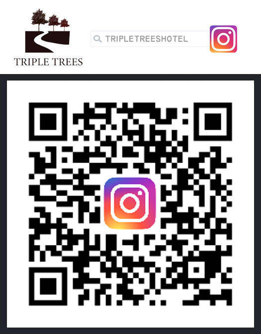 โรงแรม Triple Trees ตั้งอยู่แถวปทุมธานี เป็น โรงแรมปทุมธานี ที่พักปทุมธานี ห้องพักรายวันปทุมธานี หากผู้ต้องการหาโรงแรมราคาถูกย่านปทุมธานี แนะนำโรงแรมแถวดอนเมือง โรงแรมแถวรังสิต Triple Trees 