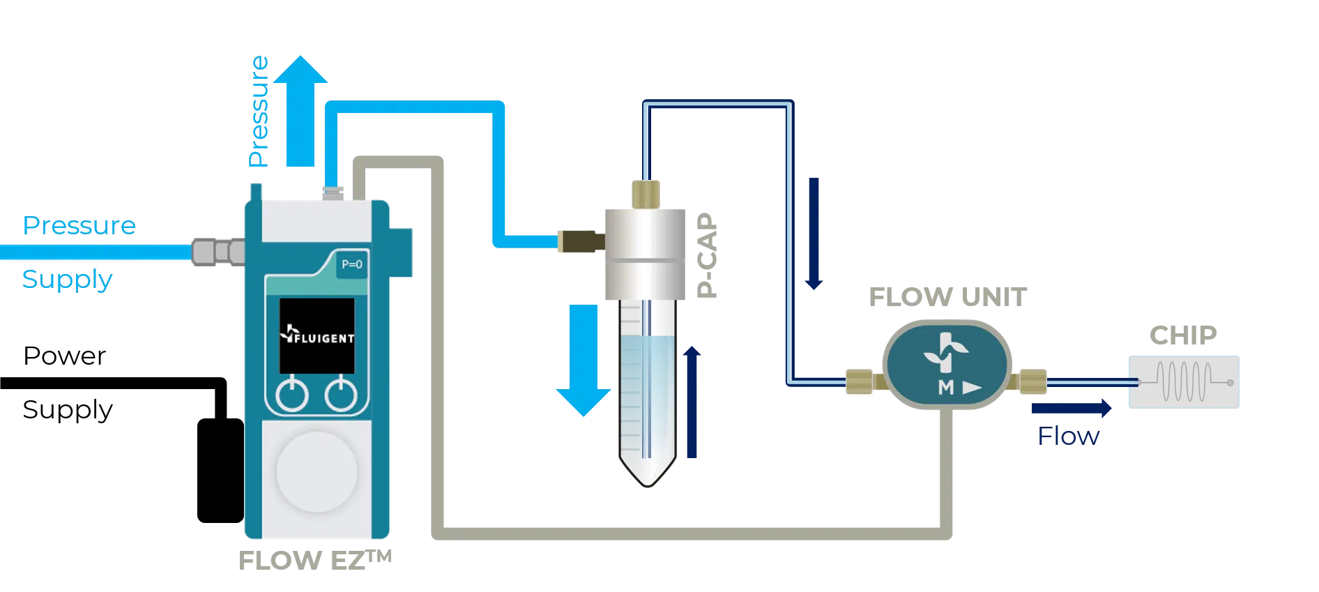 Organ-on-chip Cell culture