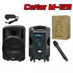 M1211 CEFLAR SPEAKER 12"+MIC*1 BT/USB SP-CL-21-M1211