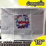 ชุดผ้าคลุมคอมพิวเตอร์ 3 ชิ้น สำหรับจอ19" LED CO-GO-19-xxxxx