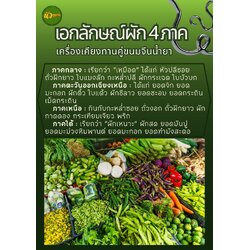 เอกลักษณ์ผัก 4 ภาค เครื่องเคียงทานคู่ขนมจีนน้ำยา