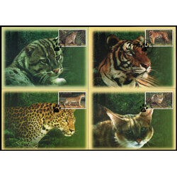 บัตรภาพตราไปรษณียากรสัตว์ป่า (ชุด 6)