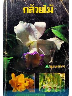 กล้วยไม้