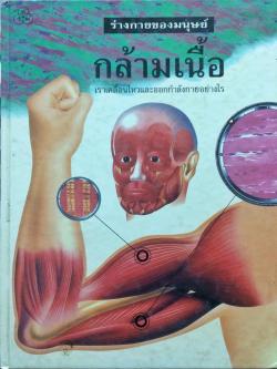 ร่างกายมนุษย์ กล้ามเนื้อ เราเคลื่อนไหวและออกกำลังกายอย่างไร