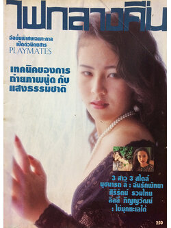 ไฟกลางคืน Playmates