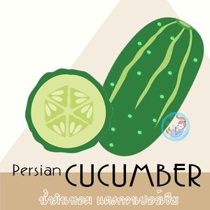 Cucumber : Persian cucumber / น้ำมันหอม แตงกวาเปอร์เซีย Aquatic Ozonic Fresh สัมผัสกลิ่นอายแห่งสายฝน สดชื่น ปลอดโปร่ง และสะอาด ละลายในแอกอฮอล์และน้ำมัน -ไม่เร่งเทรซ