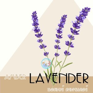 LAVENDER : Amber Lavender /หัวน้ำหอม แอมเบอร์ ลาเวนเดอร์ Aromatic Floral กลิ่น หอม หวาน ลุ่มลึก ละลายในแอกอฮอล์