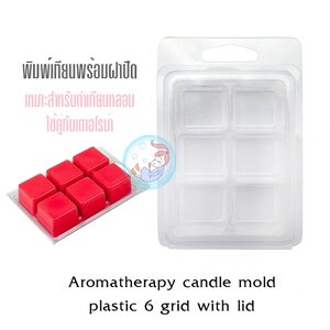 Plastic box with lid กล่องพลาสติกพร้อมฝาปิด 6 ช่อง
