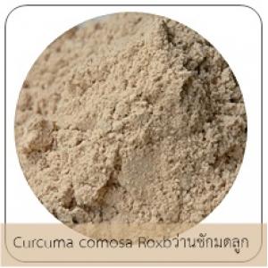 Curcuma comosa Roxb /ว่านชักมดลูก
