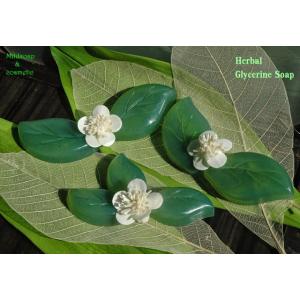 ชุดทำสบู่ใส สมุนไพรสกัดฟ้าทะลายโจรและอัญชัน/ Herbal tincture glycerine soap/ระดับอายุ 10 ปี ขึ้นไป