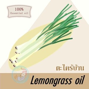 Lemongrass oil 99 % / lemongrass thai essential oil น้ำมันหอมระเหย ตะไคร้บ้าน Aromatic herbs with lemon scent กลิ่นหอมสดชื่น ละมุนหวาน อบอุ่น ละลายในแอกอฮอล์และน้ำมัน-ทนอุณหภูมิสูง--ไม่เร่งเทรซ COA /MSDS