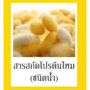 SILK PROTEIN สารสกัดโปรตีนไหม