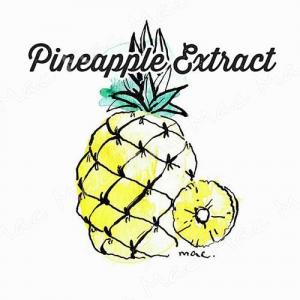 PINEAPPLE EXTRACT สารสกัด สับปะรด