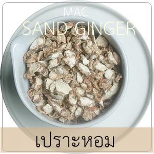 SAND GINGER เปราะหอม