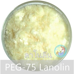 Lanolin / PEG-75 Lanolin / โพลีเอทิลีนไกลคอล 75 ลาโนลิน / Wool Wax / ไขมันจากขนแกะ / เป็นเกล็ดเล็กๆ(Flake )