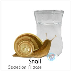 SNAIL EXTRACT สารสกัด หอยทาก ชนิดน้ำ/Snail Secretion filtrate