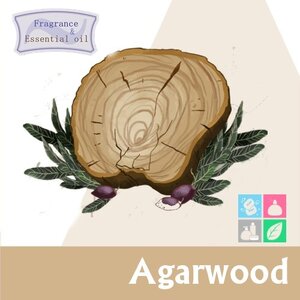 Agarwood น้ำมันหอมระเหยผสม ไม้กฤษณา (ไม้หอม) Sweet , Fruity , woody กลิ่นหอม คลายกังวล สงบ มีสมาธิ ละลายในแอกอฮอล์และน้ำมัน / ทนความร้อนสูง / ไม่ เร่งเทรซ COA