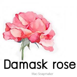 ROSE : Damask rose น้ำมันหอมระเหยผสม กุหลาบดามัซก์ Fresh floral กลิ่นหอม แรง สดชื่น ละลายในแอกอฮอล์และน้ำมัน - แอกอฮอล์ และไม่เร่งเทรซ COA