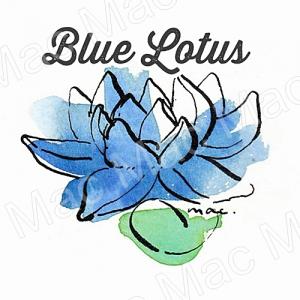 Lotus : Blue Lotus หัวน้ำหอม บลูโลตัส Floral Aquatic Ozonic น้ำหอมที่ยากจะลืมเลือน กลิ่นหอมที่มีเอกลักษณ์ของดอกบัว ให้ความรู้สึก ปลอดโปร่ง เบิกบาน ในบรรยากาศแบบย้อนยุค ละลายในแอกอฮอล์