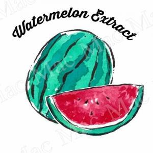 WATERMELON EXTRACT สารสกัดแตงโม