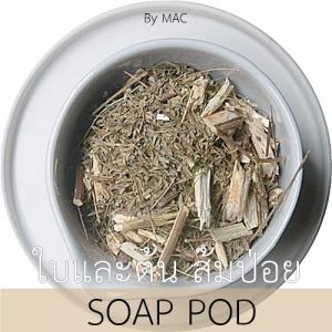 SOAP POD ใบและต้น ส้มป่อย