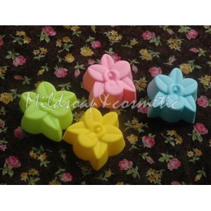 พิมพ์ซิลิโคน ออคิด ยูโร 25-30 กรัม 5 ชิ้น