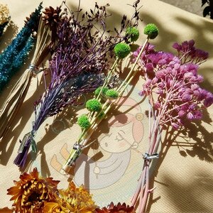 Dried flower set /ดอกไม้ ใบไม้ แห้ง ขนาดเล็ก คละดอกและใบ