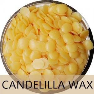 CANDELILLA WAX / แคนเดลิลล่า แว็กซ์ /ไขแคนเดลิลล่า เม็ดกลมแบนสีเหลืองเข้ม