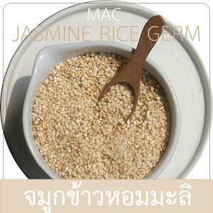 JASMINE RICE GERM จมูกข้าวหอมมะลิ