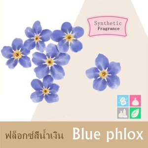 Blue phlox หัวน้ำมันหอม ฟล็อกซ์สีน้ำเงิน soft green and cooling กลิ่นฟุ้งเย็นสดชื่นของป่าสน เจือกลิ่นดอกไม้และเปลือกไม้ นุ่มละมุ่นให้ความรู้สึกสงบและเติมพลัง ละลายในแอกอฮอล์และน้ำมัน / ทนความร้อนสูง/ ไม่เร่งเทรซ COA