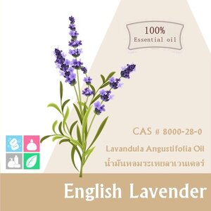 Lavender :English Lavender น้ำมันหอมระเหยลาเวนเดอร์ อังกฤษ linalyl acetate and linalool >80% Fresh Floral Aroma กลิ่นหอมผ่อนคลาย สะอาดและนุ่มนวล ละลายในแอกอฮอล์และน้ำมัน- ไม่เร่งเทรซ COA