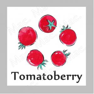 TOMATOBERRYหัวน้ำหอม มะเขือเทศสตอเบอรี่