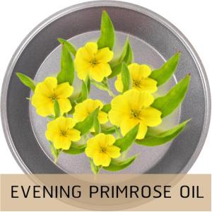 EVENING PRIMROSE น้ำมันอิฟนิ่ง พริมโรส