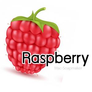 Raspberry / หัวน้ำหอมละลายได้ในน้ำมัน / กลิ่นราสเบอรี่