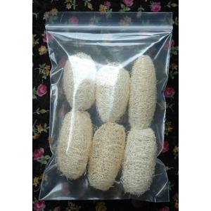 ลูกบวบ หรือ รังบวบ C 2.5-3.0 นิ้ว (5.0-6.5 ซม.)