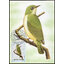 Post Cards S.Tome E Principe Bird 1983