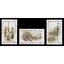 Traditional Mortars 2001