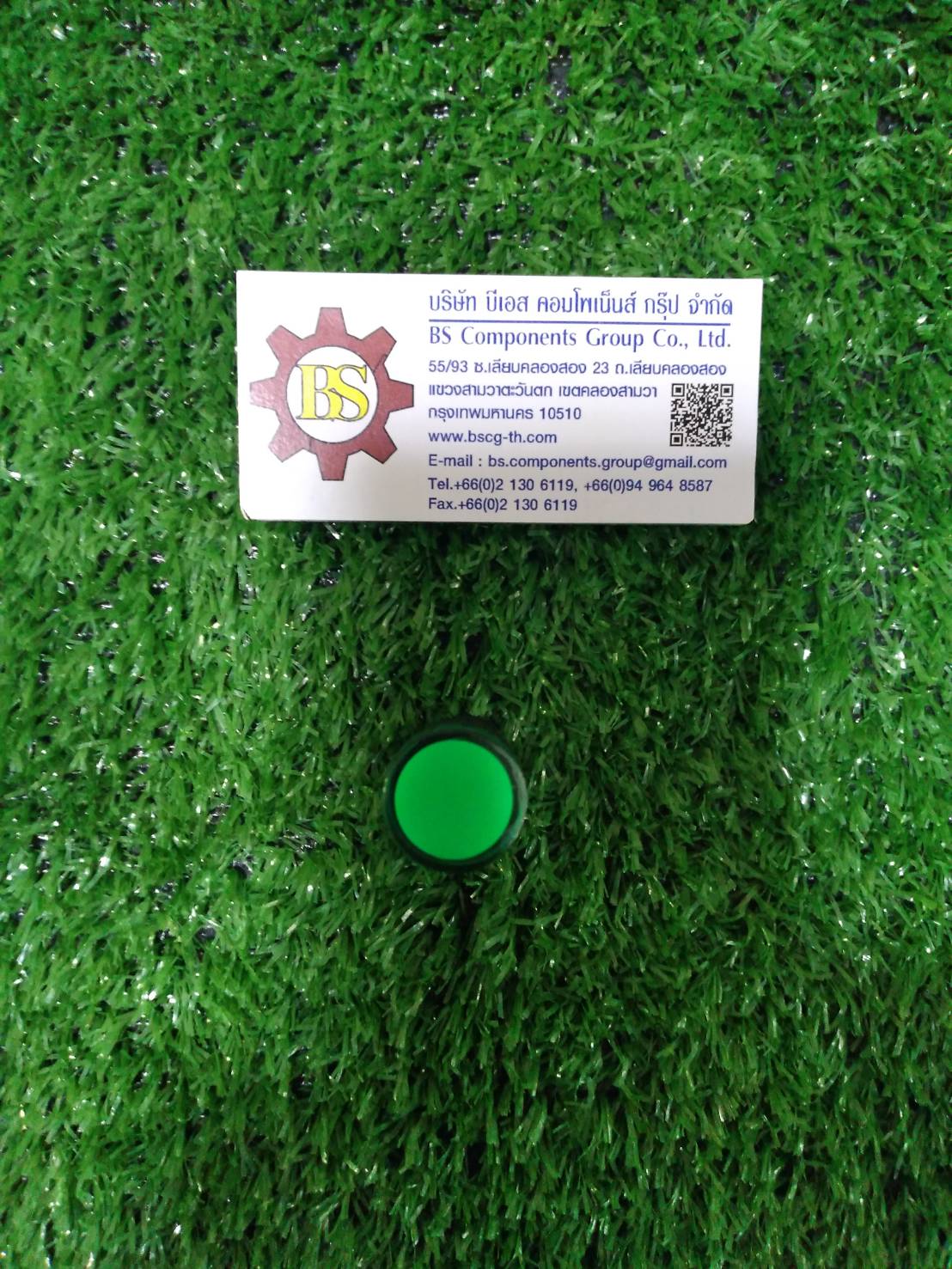 SHINOHAWA : LED Lamp 16mm. Green 24VDC