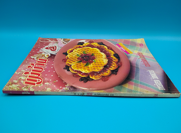 แม่บ้าน ปีที่ 18 ฉบับที่ 309 กุมภาพันธ์ 2538