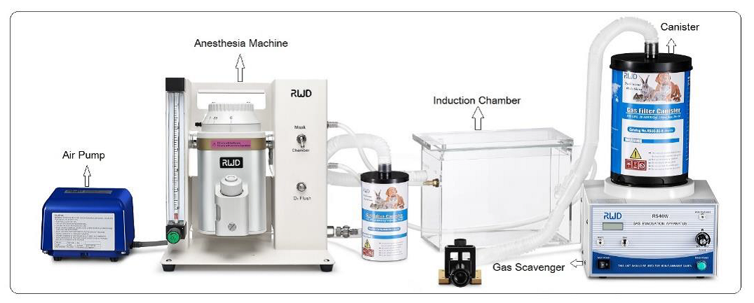SMALL ANIMAL ANESTHESIA SYSTEM