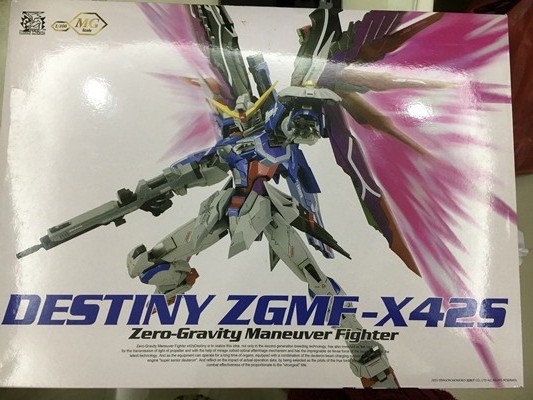 MG 1/100 Destiny [Momoko]