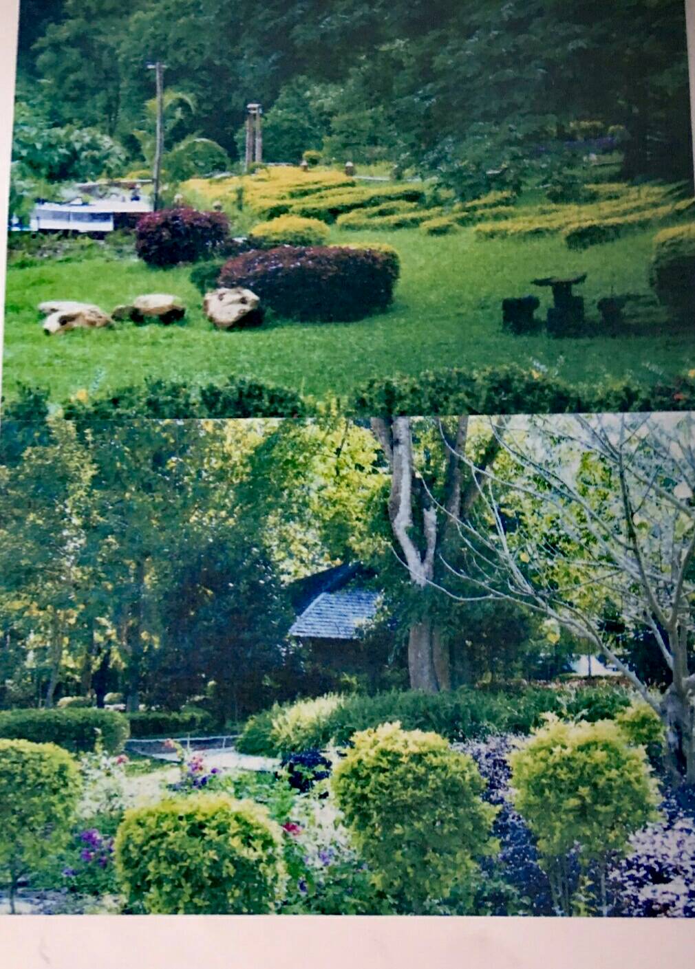 ขายที่ดินพร้อมสิ่งปลูกสร้าง อ.เมืองปาง จ.ลำปาง บริเวณล้อมรอบด้วยป่าสงวนแห่งชาติ ปกคลุมด้วยภูเขา และป่าไม้ร่มรื่น เงียบสงบปลอดภัยใกล้หมู่บ้านเดินทางสะดวกเหมาะสำหรับผู้รักในธรรมชาติ