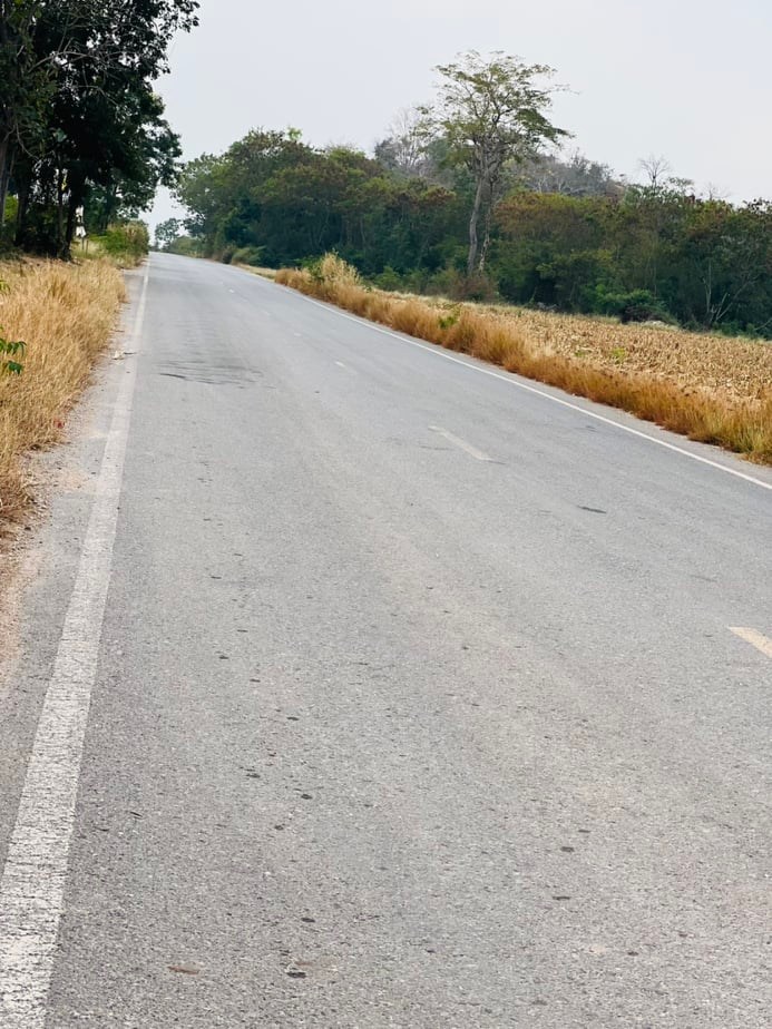 ขายที่ดินราคาถูก1.5แสนบาท/ไร่ อ.พยุหะคีรีจ.นครสวรรค์ใกล้อบต.เขาทองที่ดินสวยเหมาะทำการเกษตรปัจจุบันให้เช่าทำไร่อ้อย(มีผู้เช่า)บรรยากาศดีเดินทางสะดวก