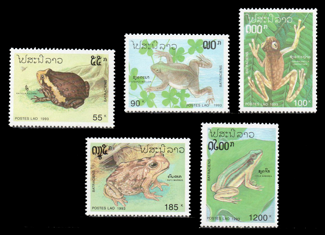 1993 Amphibians