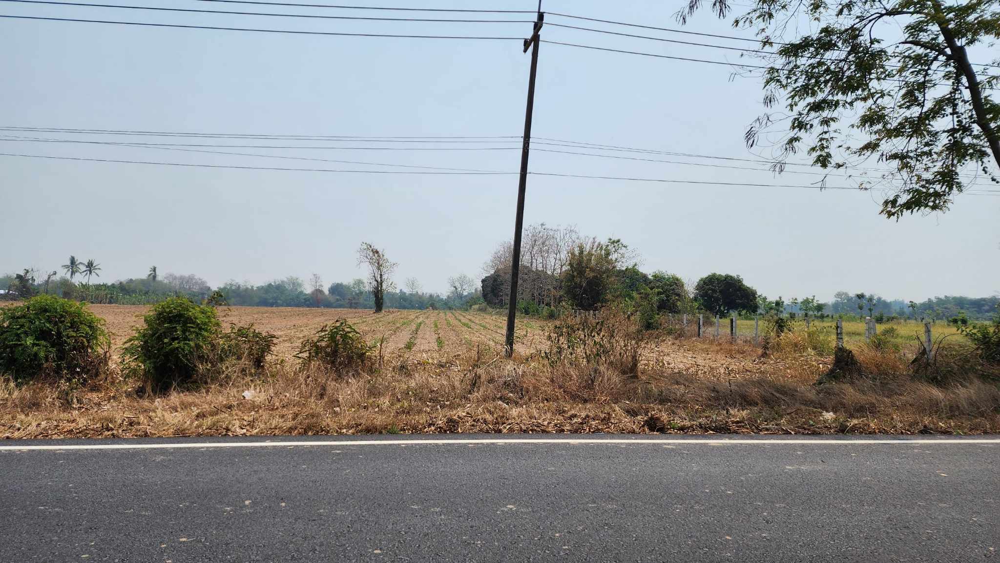 ขายที่ดินติดถนนใหญ่ด้านหลังติดแม่นํ้ายมใกล้ที่ว่าการอำเภอศรีสัชนาลัยราคา6แสนบาท/ไร่เหมาะทำธุรกิจสนใจติดต่อเจ้าของทรัพย์080-5050150💥📣