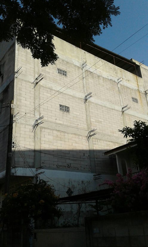 ขายบ้านรังนก พร้อมที่ดิน มีบ้านสำหรับพักได้ด้านล่าง มีนกแล้วประมาณ 350-400 ตัว