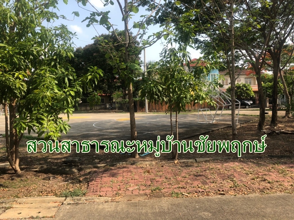 ขายที่ดินเปล่า ในหมู่บ้านชัยพฤกษ์ วัดลาดปลาดุก บางบัวทอง 70 ตร.ว เข้าซอย 43 ในหมู่บ้าน 200 เมตร
