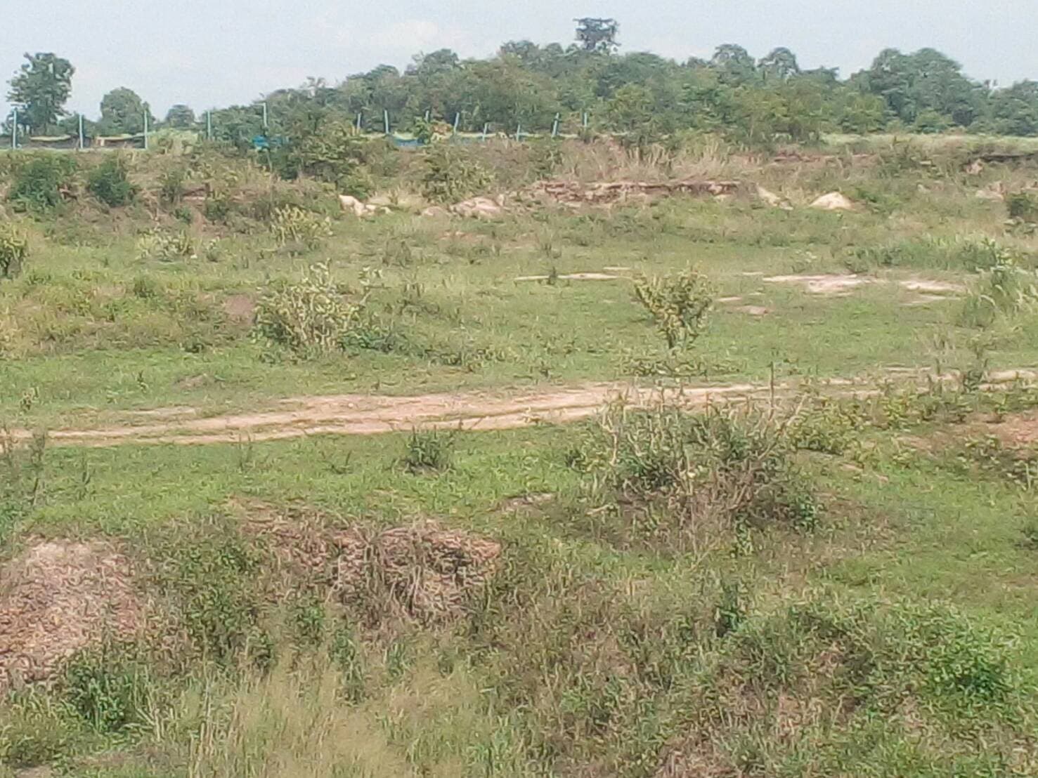 ขายที่ดินสวยราคาถูก อ.บ้านโป่ง จ.ราชบุรี 16 ไร่ 2 งาน 8 ตรวม.