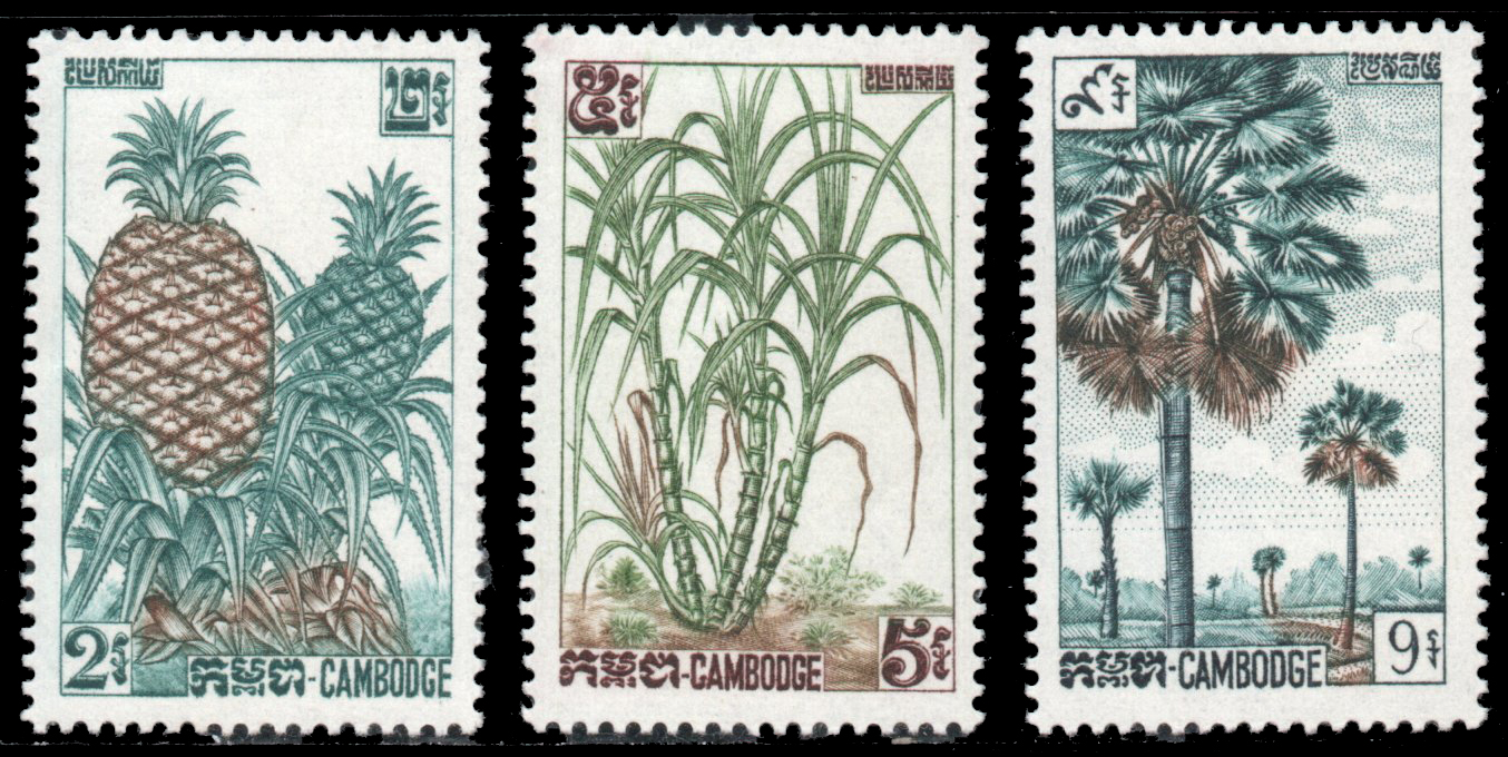 1962 Cambodian Fruits