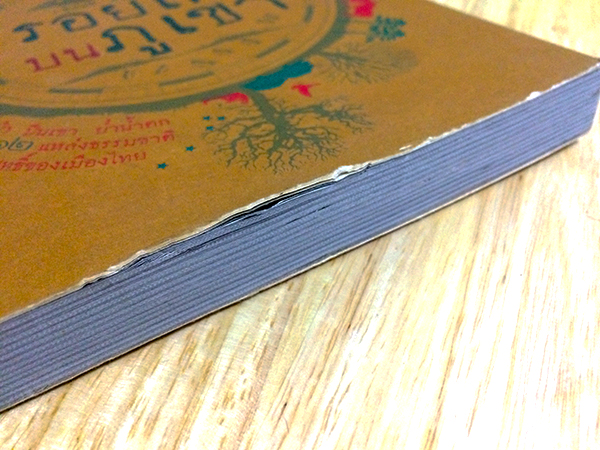 รอยเท้าบนภูเขา